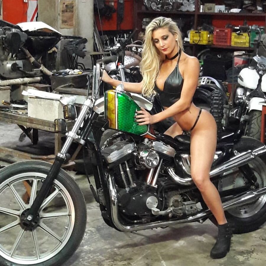 Sol in leather
