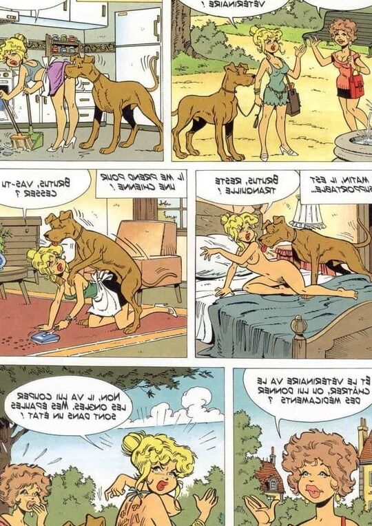 Fr Bd sexy-humour