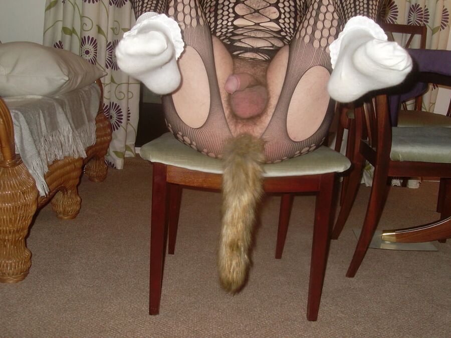 foxtail buttplug