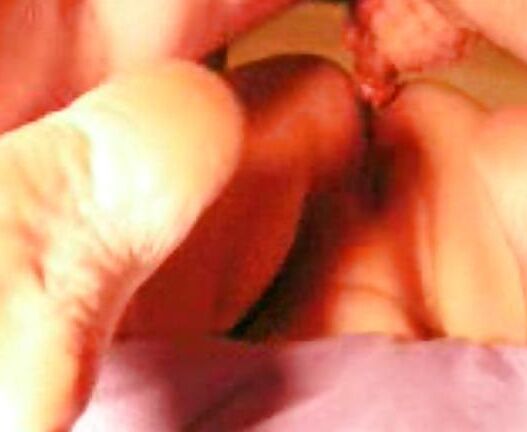 Bbw mix (photos submitted)