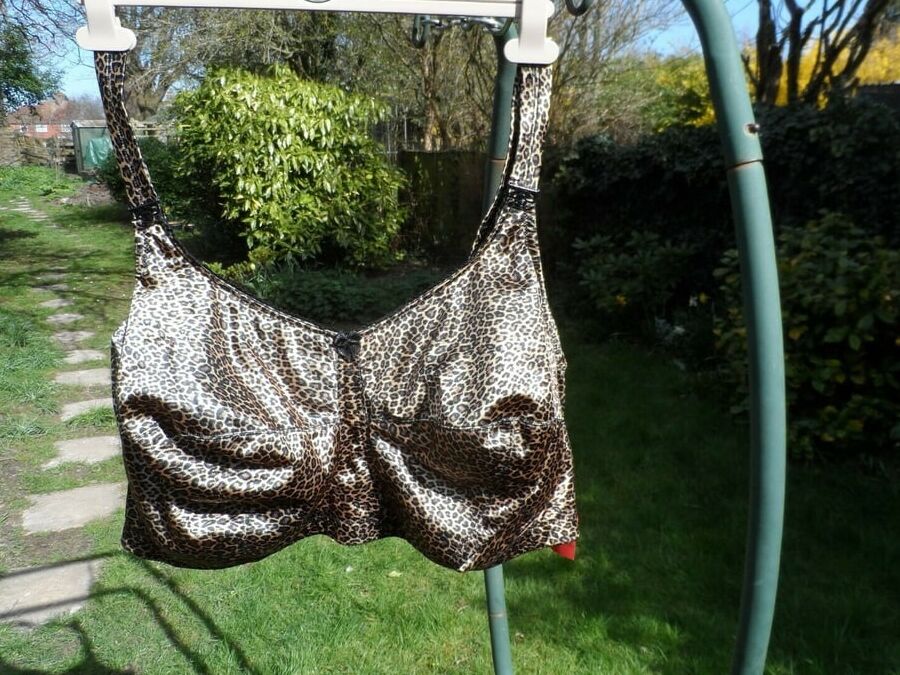 Bra shots