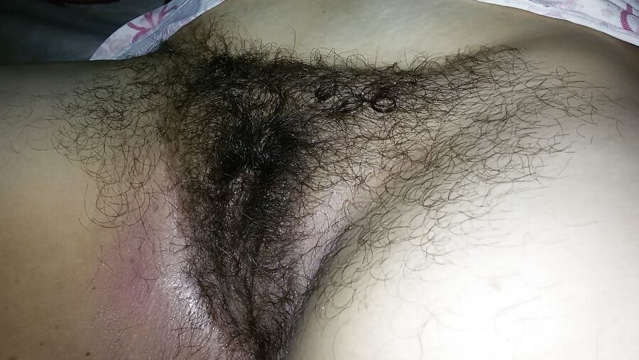 Tante troie