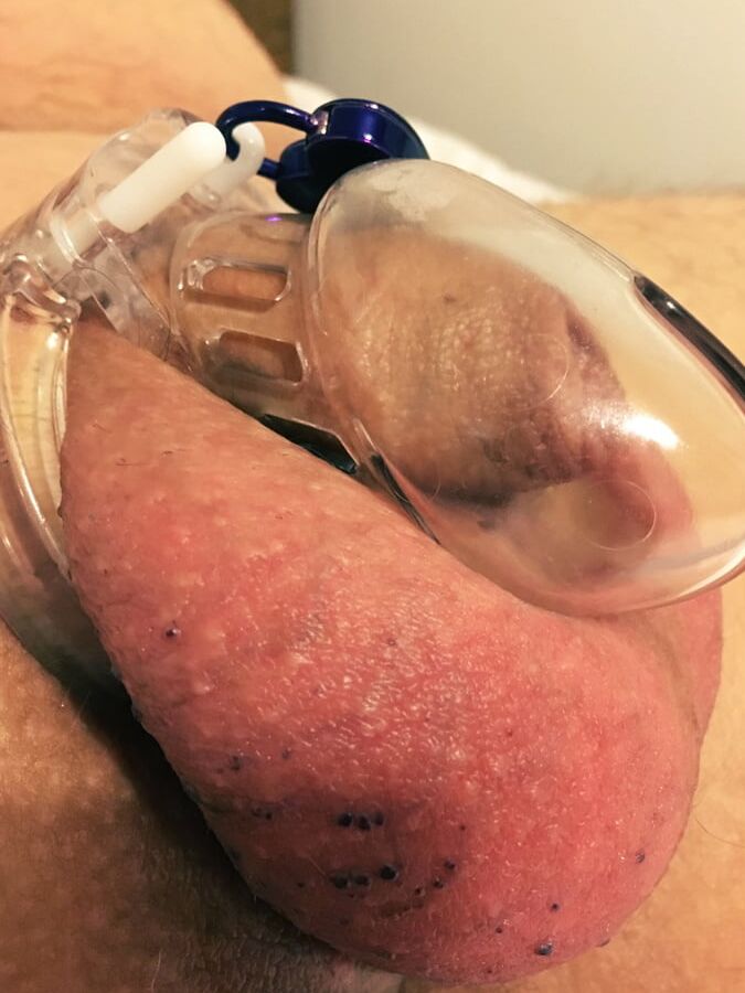Darling R&;s Chastity