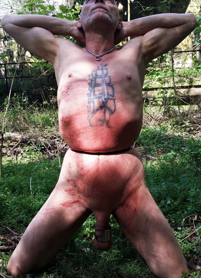 torture , belly , whipmarks