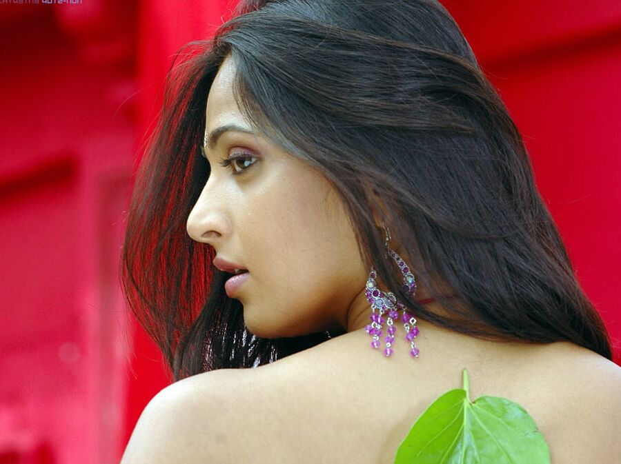 Anushka Shetty The Arabian Horse