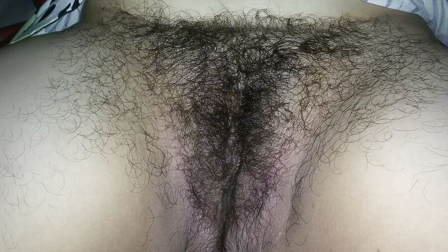Tante troie