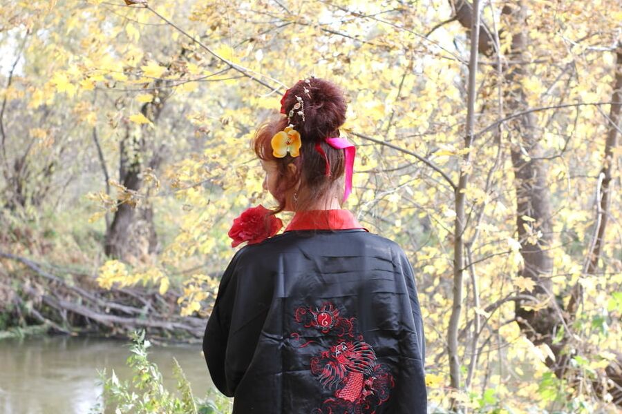 Nippon Style