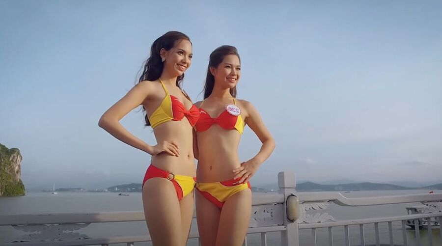 Sexy air hostess