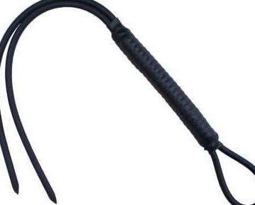 If you had to choose one whip for your own spanking, which ?