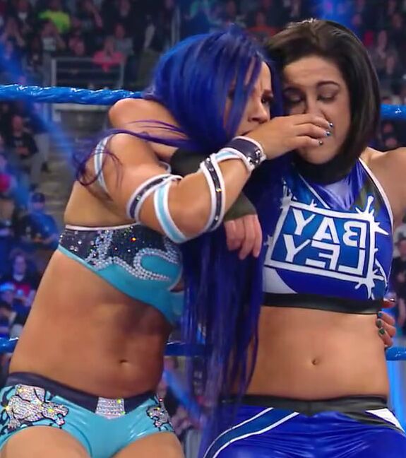 WWE Wrestling Divas Mix (cuteforyou)