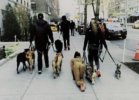doggie girls