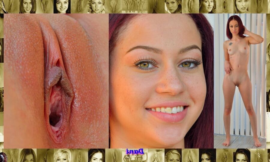 My Body, Face, And Pussy Vol.