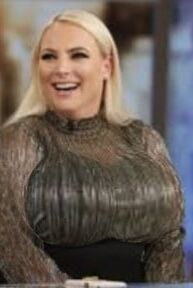Meghan McCain and her huge tits!