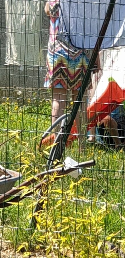 Festival de beaux culs