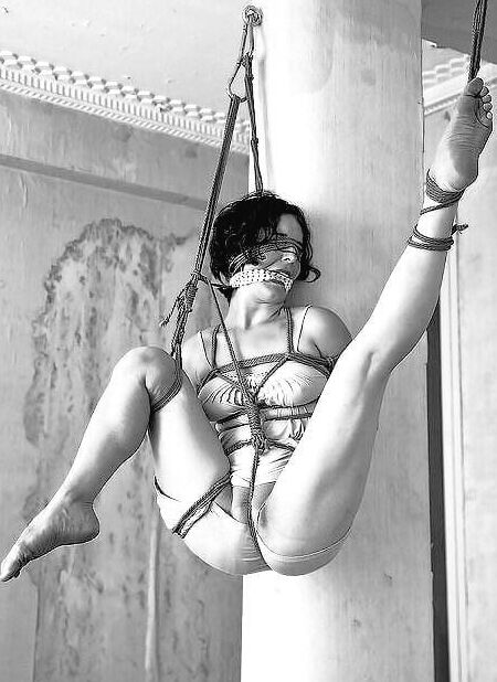 The art of Shibari III