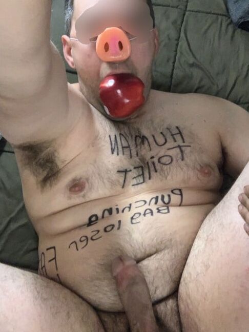 My main piggy