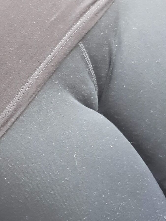 Girlfriend cameltoe