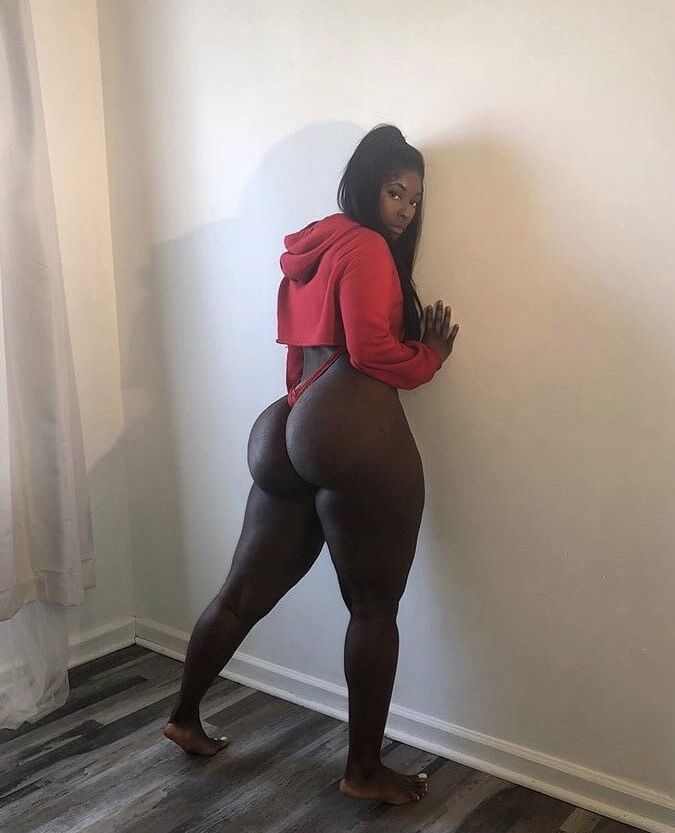 Dipped In Honey Collection