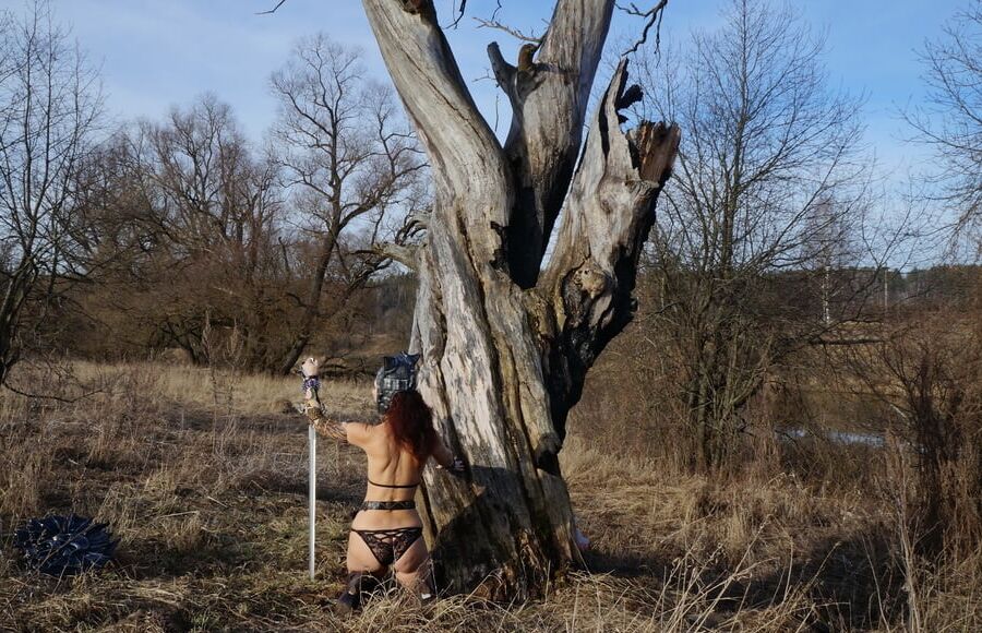 Salamander&;s Sword