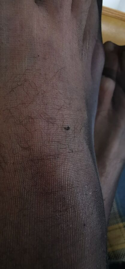 Pantyhose, Nylons