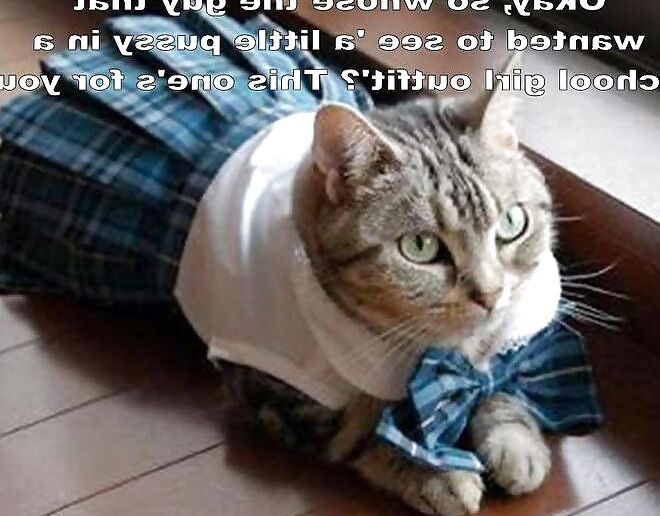 Humour