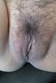 Haarige Moese