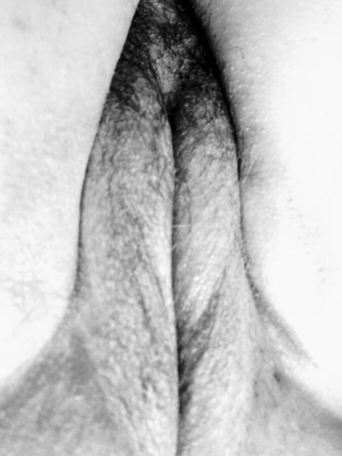Chatte a nue
