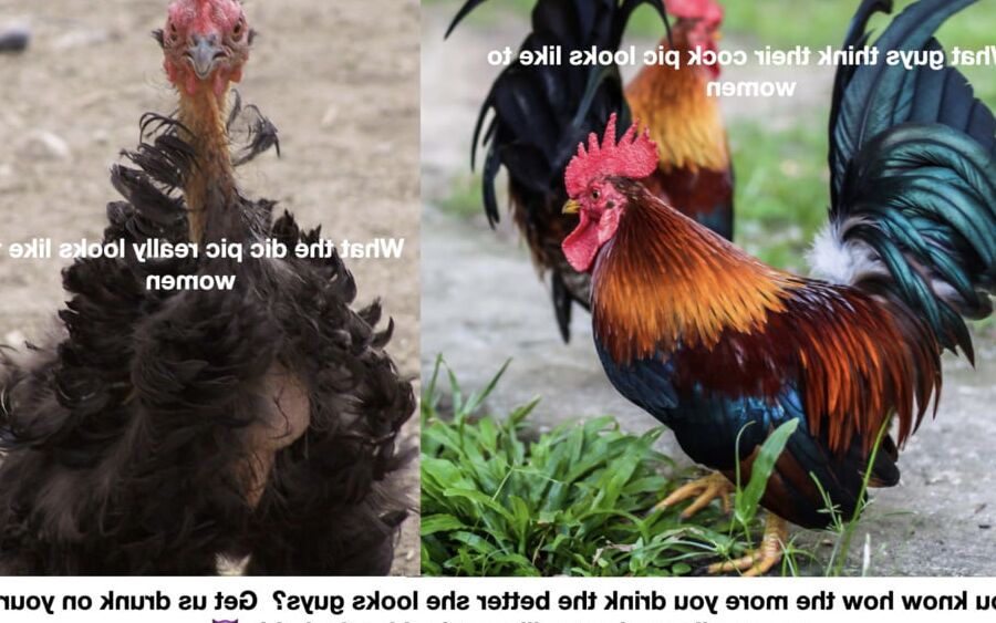 Meme&;s