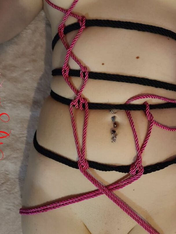 Heart Link Harness