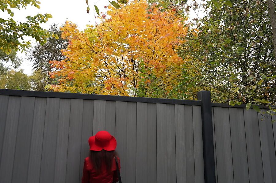 Red and Gray (Fall Album)