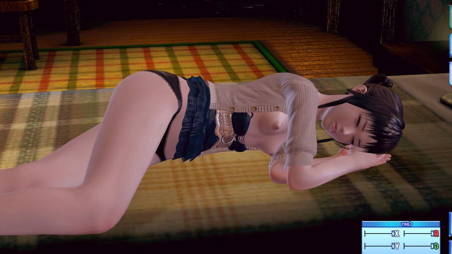 Sexy Beach (D hentai)