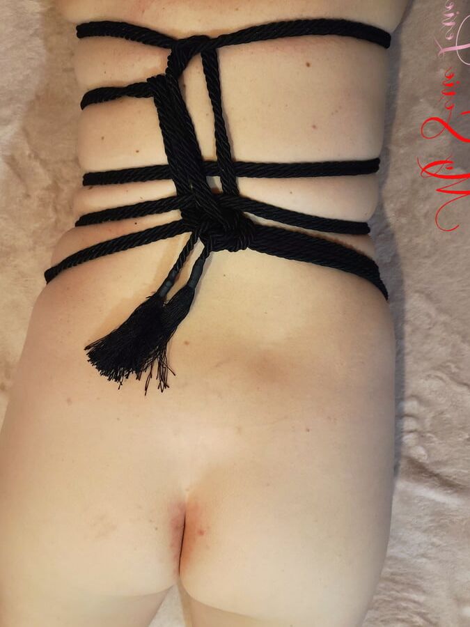 Heart Link Harness