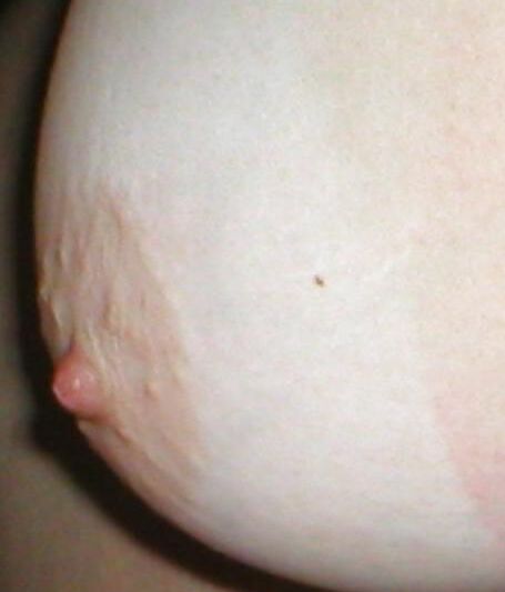 dauergeil