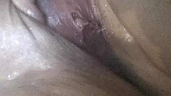 Random pics Nov