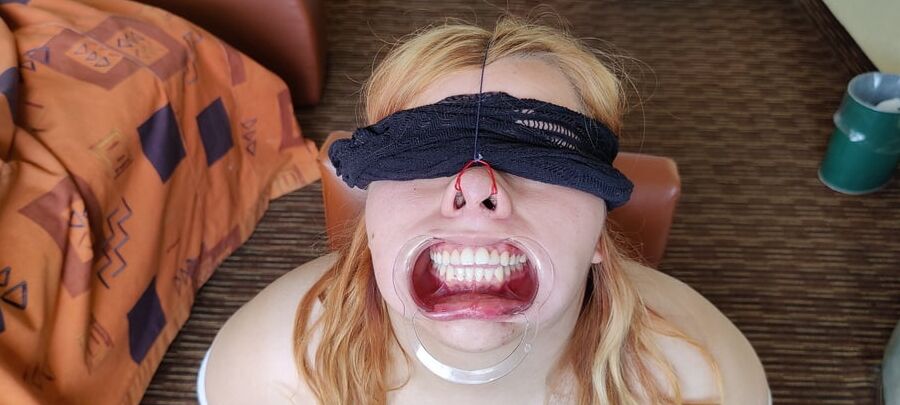 Face bondage Nose hook