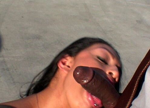 fuckmachine pussy tease &amp; blowjob mmmm :)