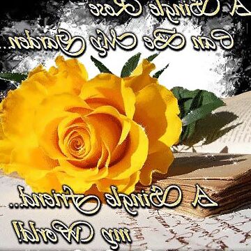 For you my loves