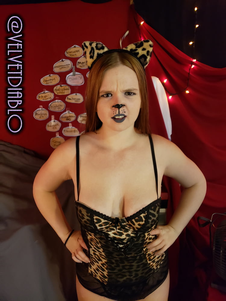 Week - More Big Ass Halloween Costumes - Kitty - Puppy