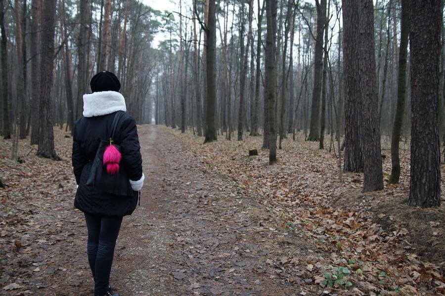 Early Winter