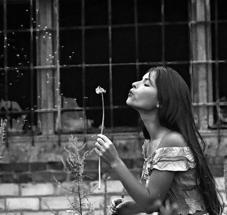The Illumination of Life