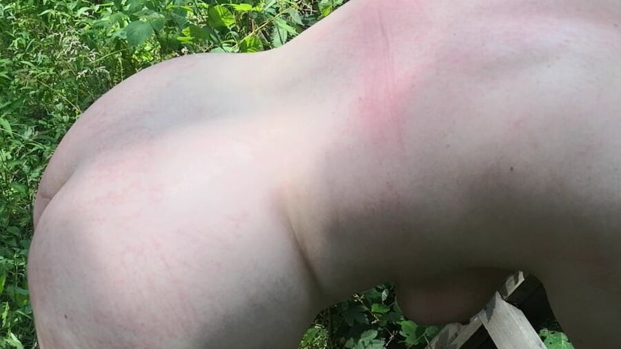Whip my back in public forest