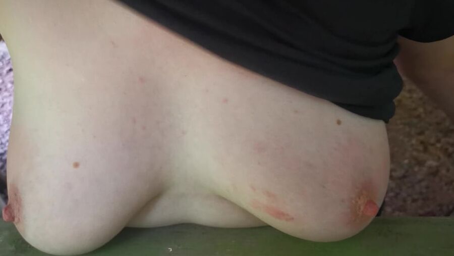 Slapping tits and ass in picnic hut