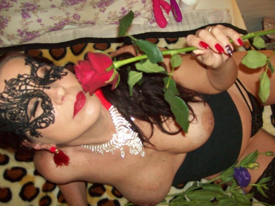 Wildcat and roses