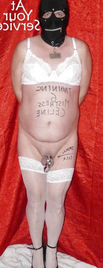 Submissive training Position &amp; Poses