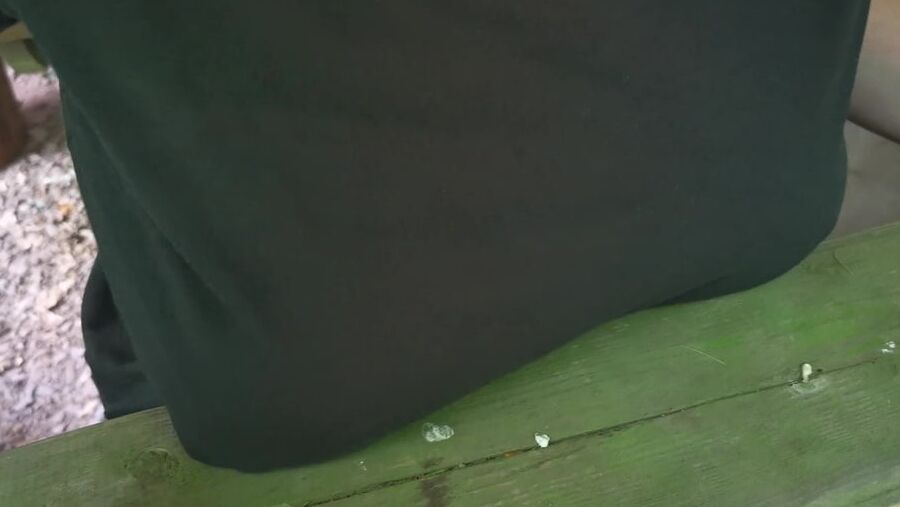 Slapping tits and ass in picnic hut