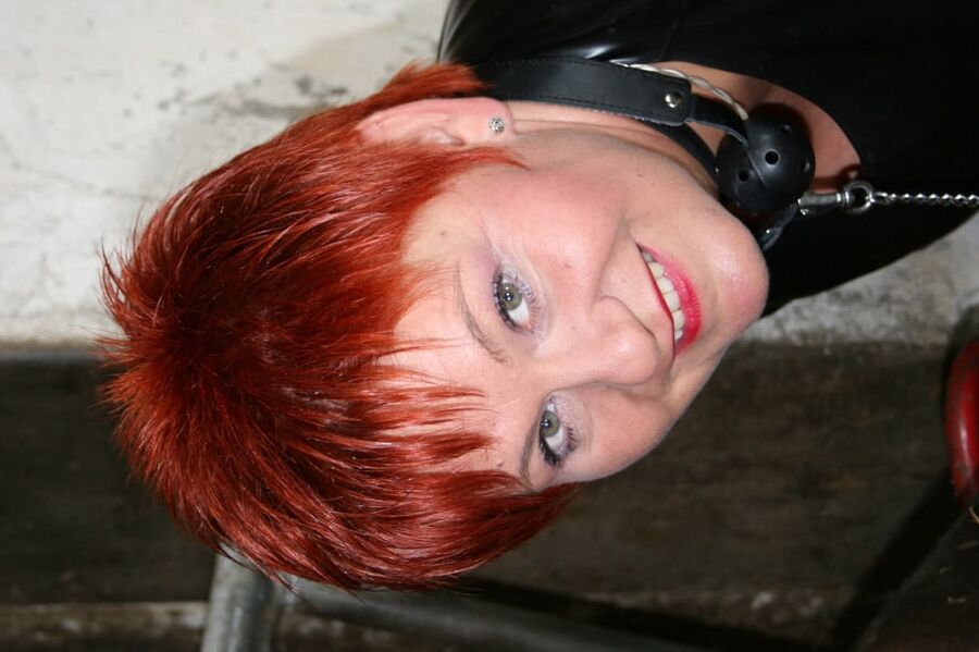 Hot images in the cowshed