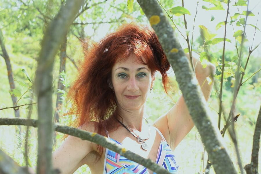 Among Branches