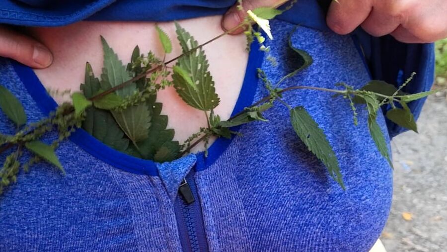Put some nettles in my bra