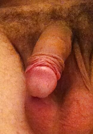 Quien quiere follar mi ano?