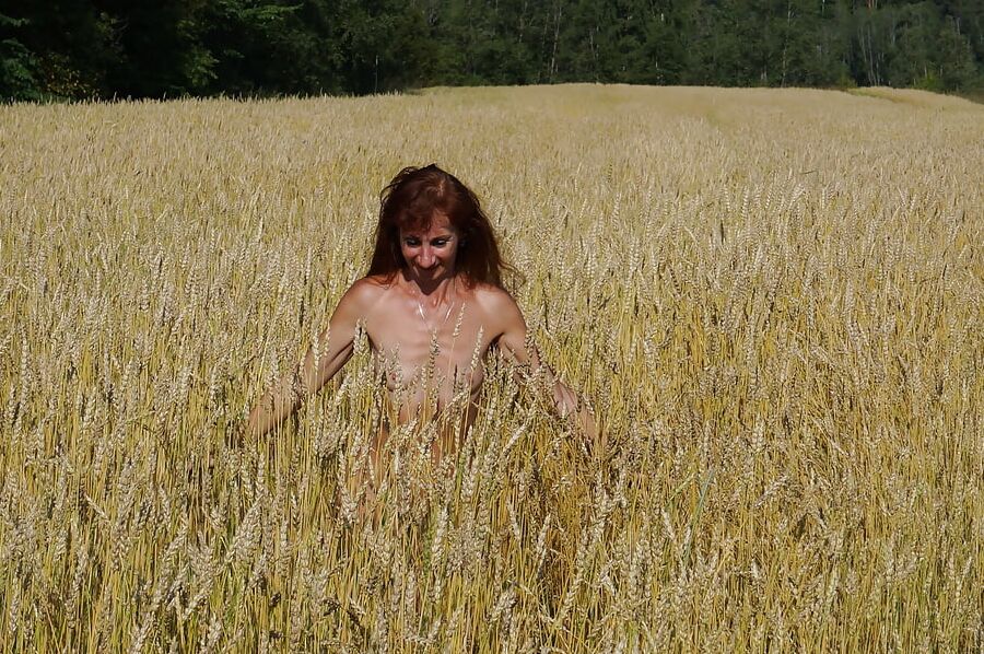 in golden field
